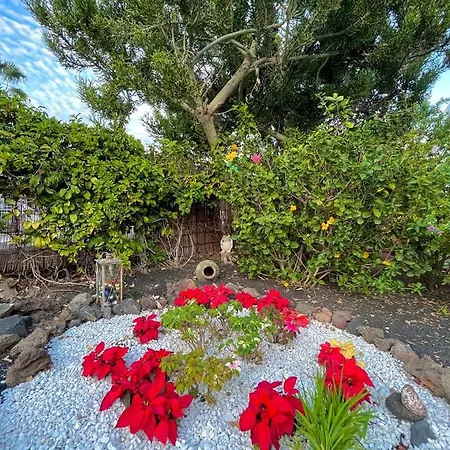 Ocean Kiss * Puerto del Carmen (Lanzarote)